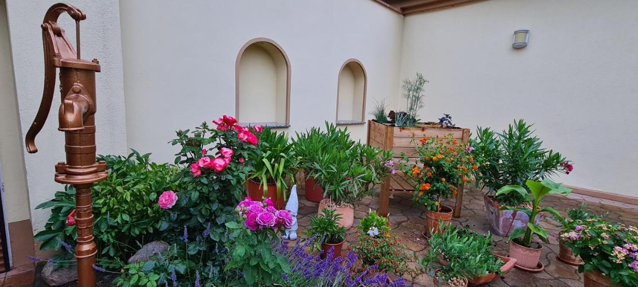 Die Ferienwohnung "Am Kietz" Schwedt Εξωτερικό φωτογραφία